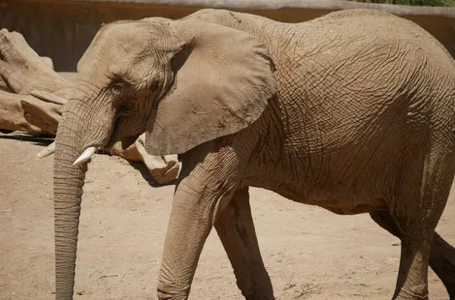Randonnée privée aux grottes des éléphants et cascade d'Endoro