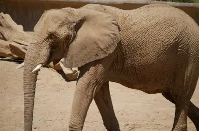 Randonnée privée aux grottes des éléphants et cascade d'Endoro