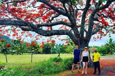 Walking tour Rarotonga: Guided stroll through Avarua history