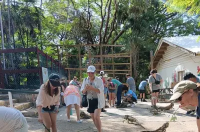 Tour por la isla de Roatán: Fauna, cultura y degustación de comida