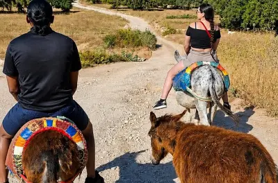 Paseo en burro y té en Essaouira: Tour por la región de Idaouqourd