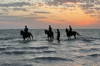 Equitazione nel deserto e lungo la costa a Riyadh, Jeddah e Al Ula