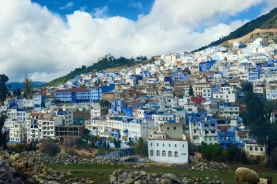 Explora marruecos en un tour privado de 9 días—visita fez, chefchaouen, volubilis, campamento en el desierto del sahara y marrakech. incluye transporte, guías y lugares únicos.