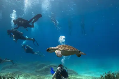 Scuba Diving For Beginners in Ayia Napa: 2 Dives