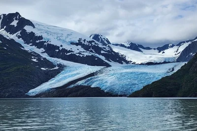 Descubre alaska salvaje en un tour privado desde anchorage: acércate al glaciar portage, avista animales y explora girdwood a tu ritmo. incluye recogida.
