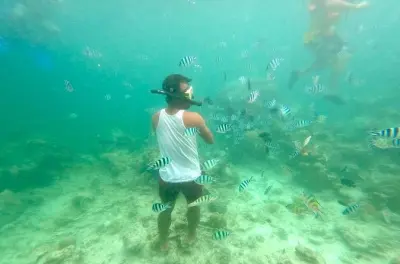 Snorkeling à El Nido : Excursion îles avec déjeuner