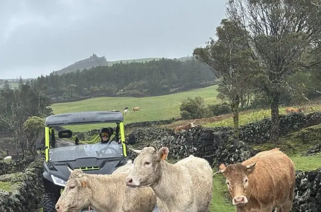 Buggy fahren auf Pico: Offroad durch ländliche Weiden