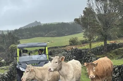 Buggy fahren auf Pico: Offroad durch ländliche Weiden
