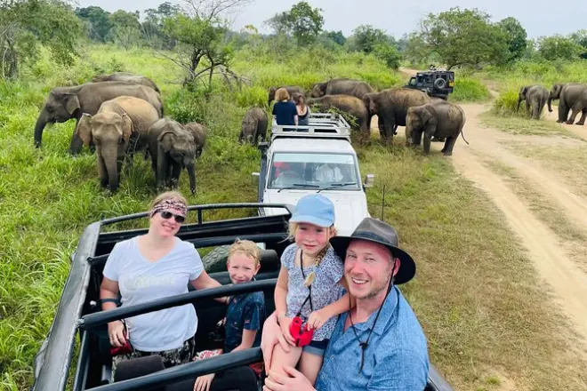 Minneriya Nationalpark Safari: Private Jeep mit Hotelabholung