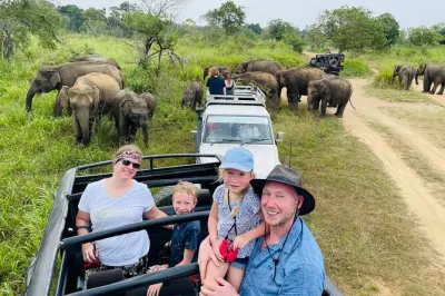 Minneriya Nationalpark Safari: Private Jeep mit Hotelabholung