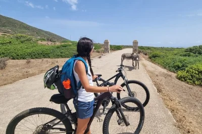 Set out from porto torres for a self-guided e-bike day on asinara, with easy ferry pickup, wild landscapes, and the freedom to explore at your own pace.