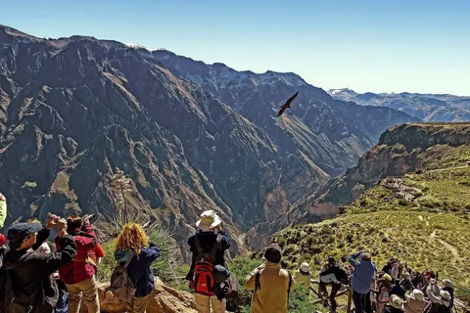 Da Puno ad Arequipa: 2 giorni nel Canyon del Colca e volo condor
