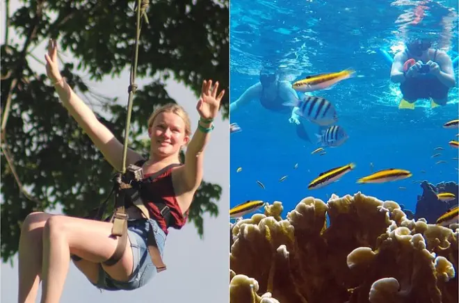 Snorkel e tirolesa em Roatan: Recifes de coral e copas das árvores