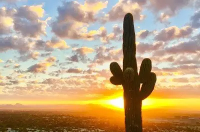 Sunrise Hike Phoenix Mountains Preserve: Sonoran Desert Views