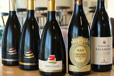 Dîner à Treviso avec dégustation de Prosecco et Amarone, 4 plats