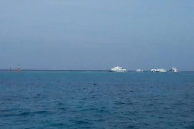 Shop for souvenirs in hurghada at fixed price malls. no haggling, just easy shopping with a local guide and hotel pickup. wheelchair accessible.