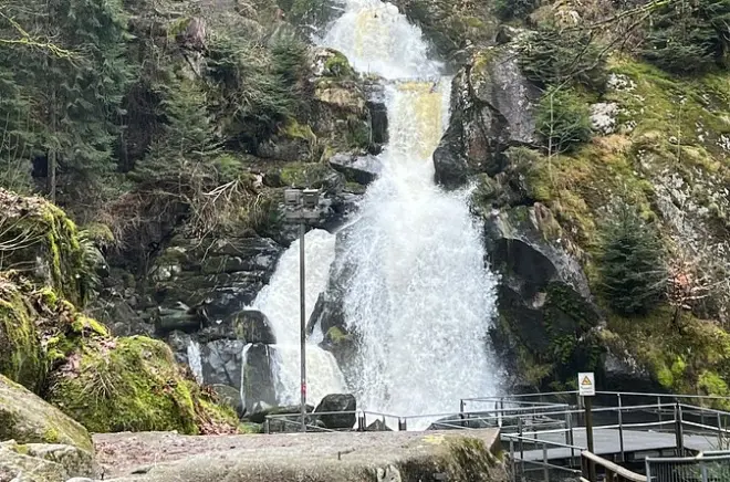 Tour privato nella Foresta Nera con Triberg, Cascate e Titisee