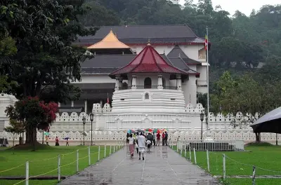 Kandy journée : Éléphants, usine de thé et temple sacré