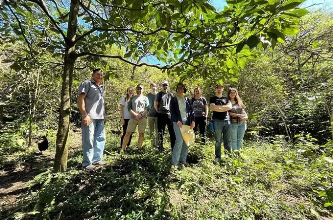 Visite d’une ferme de café bio à Loja : Dégustation professionnelle