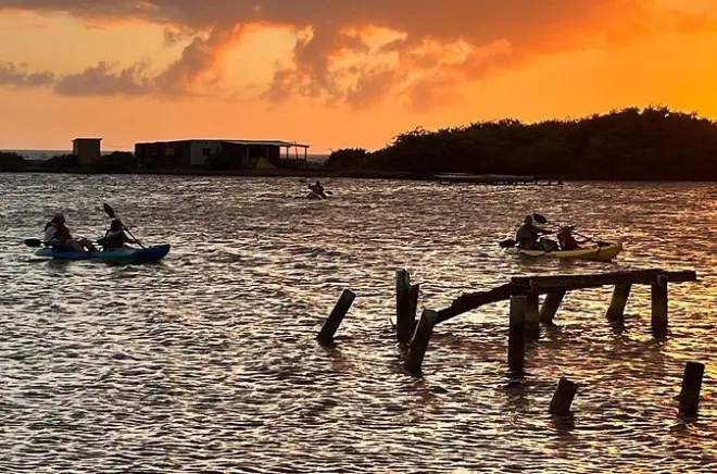 Snorkeling à Aruba : Kayak, récifs coralliens et mangrove