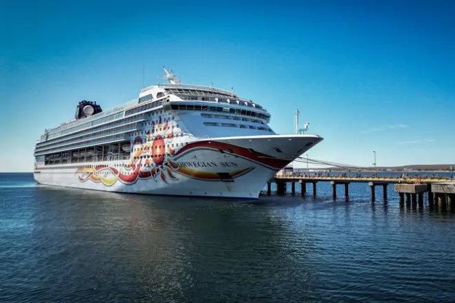 Punta Tombo para passageiros do NCL Star: Caminhada entre pinguins