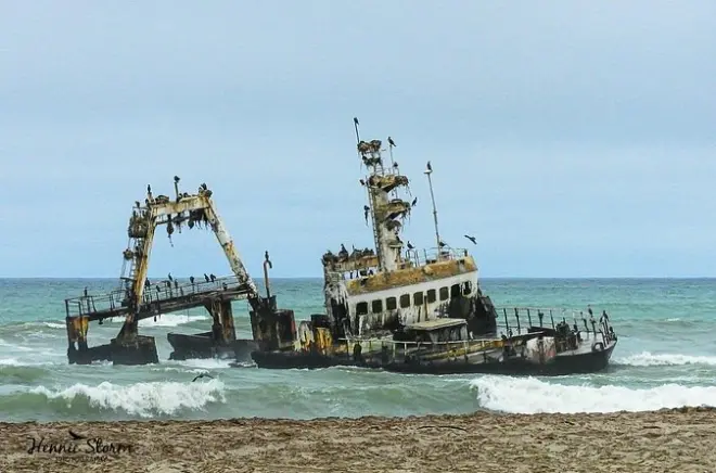 Skeleton Coast Cape Cross Seal Colony Tour from Swakopmund