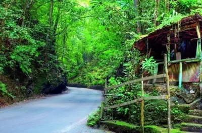 Ocho Rios sightseeing and shopping tour: Fern Gully rainforest