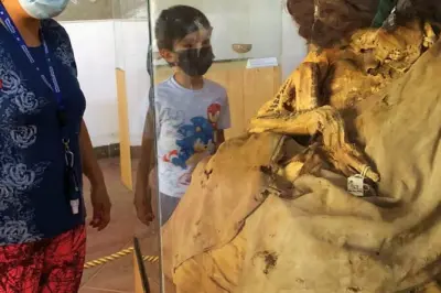 Tour privado a las líneas de Nazca desde Ica: Miradores y geoglifos