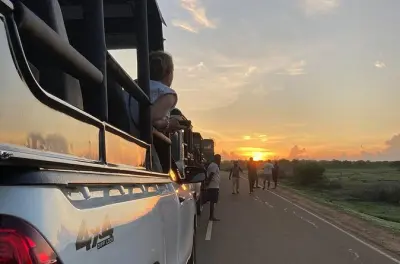 Yala-Nationalpark Safari: Jeep-Tour morgens oder abends