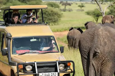 Ngorongoro-Krater Tagesausflug ab Karatu: Big-Five-Safari