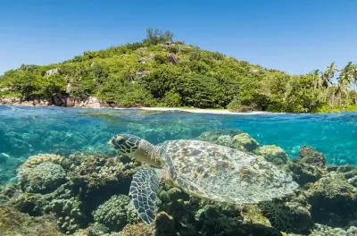 Snorkeling et faune aux îles Cousin, Curieuse et St. Pierre