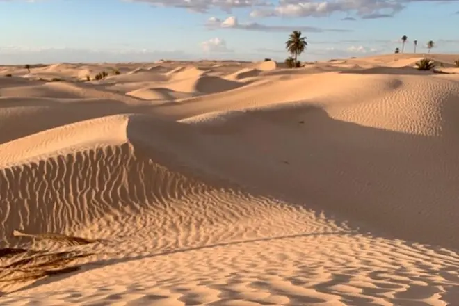 Tunísia em 7 dias: Saara, ruínas romanas e medinas à beira-mar