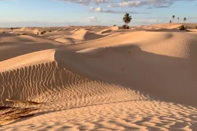 Tunisie 7 jours : Sahara, ruines romaines et médinas côtières