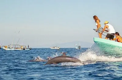 Lever de soleil sur la côte d’Oaxaca et observation des dauphins
