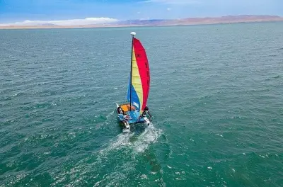Katamaran-Tour in der Bucht von Paracas: Segeln mit Delfinen