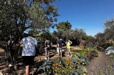 Aula de culinária farm to table com colheita em San Miguel de Allende