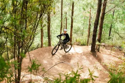 Aluguel de mountain bike no parque Waitangi: Dia inteiro ou meio dia