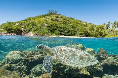 Schnorcheln im St Anne Marine Park Seychellen: Korallengärten