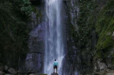 Caminata por la selva hasta una cascada oculta en Puerto Viejo