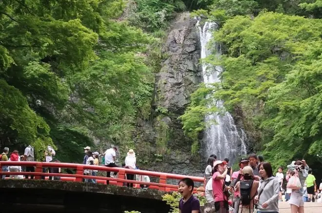 Tour de un día desde Osaka: Katsuo-ji, cascada Minoo y parque Nara
