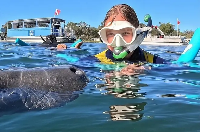 Privates Manatee-Schwimmen in Crystal River: Maximal 6 Personen