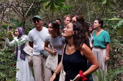 Jozani-Wald Tour Sansibar: Rote Colobus-Affen