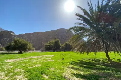 Hidden Oasis half-day hike Ras Al Khaimah: Guided mountain trail