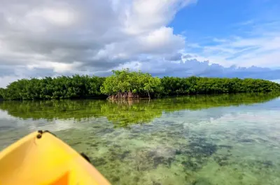 Kayak a Geiger Key: Mangrovie e tartarughe marine