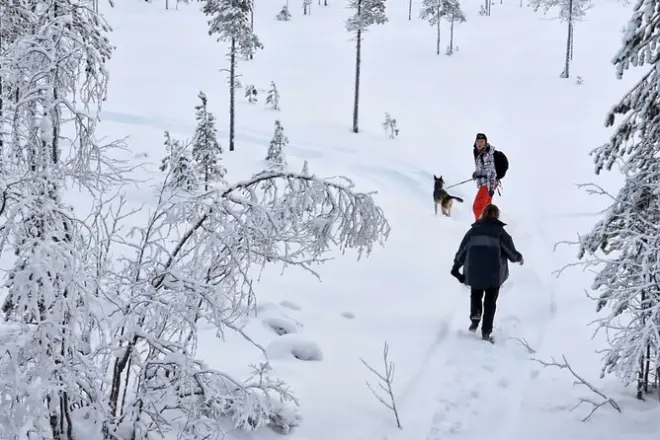 Randonnée en raquettes avec husky en Laponie suédoise