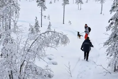 Randonnée en raquettes avec husky en Laponie suédoise