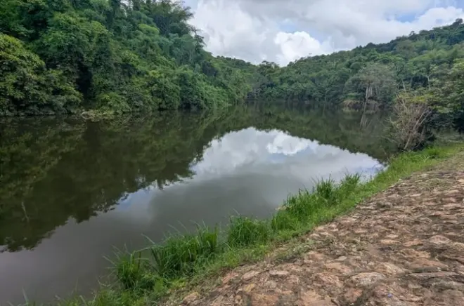 Randonnée guidée dans les collines de Pugu avec observation d’oiseaux