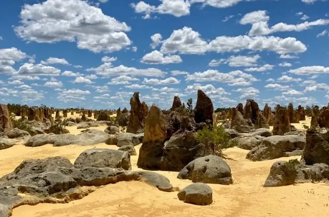 Pinnacles et dunes de sable, journée au départ de Perth