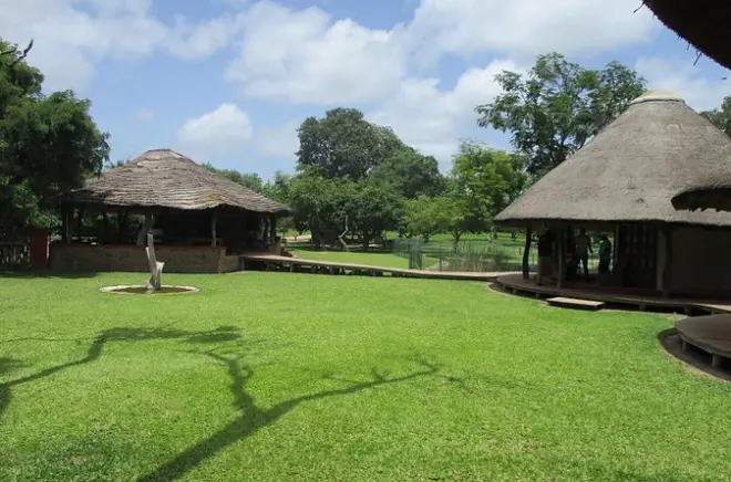 Fathala Game Reserve Safari: Giraffes, Rhinos & Antelopes