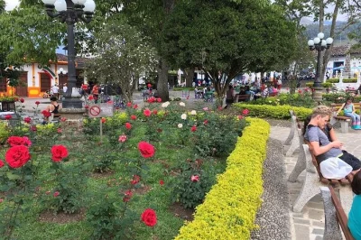 Conheça as plantações de café em jardín e o pueblito paisa em medellín com guia local. inclui almoço, transporte e cultura colombiana autêntica em um dia.